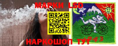 винт Заволжье