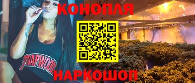 Альфа ПВП Дубна