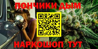 Альфа ПВП Дубна