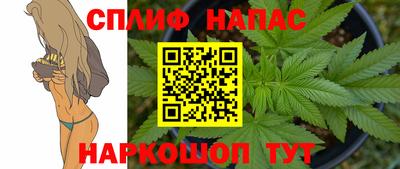 ПСИЛОЦИБИНОВЫЕ ГРИБЫ Донской